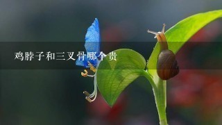 鸡脖子和3叉骨哪个贵 鸡脖子和3叉骨哪个贵
