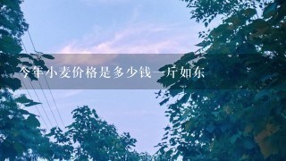 今年小麦价格是多少钱1斤如东 今年小麦价格是多少钱1斤如东