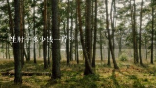生肘子多少钱1斤? 生肘子多少钱1斤?