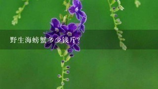 野生海螃蟹多少钱斤? 野生海螃蟹多少钱斤?