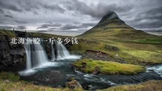 北海鱼胶1斤多少钱 北海鱼胶1斤多少钱