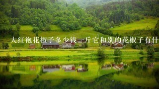 大红袍花椒子多少钱1斤它和别的花椒子有什么区别吗 大红袍花椒子多少钱1斤它和别的花椒子有什么区别吗