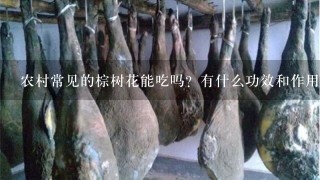 农村常见的棕树花能吃吗?有什么功效和作用? 农村常见的棕树花能吃吗?有什么功效和作用?