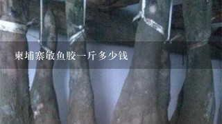柬埔寨敏鱼胶1斤多少钱 柬埔寨敏鱼胶1斤多少钱