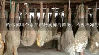 哈尔滨哪个水产市场卖鲜海鲜呀,不要冷冻的,现在螃蟹大概多少钱1斤呀,道外南马路水产批发市场有活螃蟹吗? 哈尔滨哪个水产市场卖鲜海鲜呀,不要冷冻的,现在螃蟹大概多少钱1斤呀,道外南马路水产批发市场有活螃蟹吗?