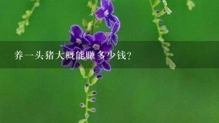 养1头猪大概能赚多少钱? 养1头猪大概能赚多少钱?