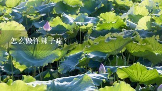 怎么做洋辣子罐? 怎么做洋辣子罐?