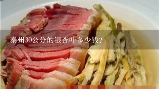 泰州30公分的银杏叶多少钱? 泰州30公分的银杏叶多少钱?