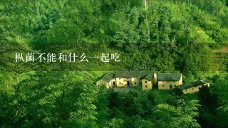 枞菌不能和什么1起吃 枞菌不能和什么1起吃
