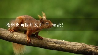 榆树皮面掺荞麦面饸饹做法? 榆树皮面掺荞麦面饸饹做法?