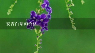 安吉白茶的价格 安吉白茶的价格