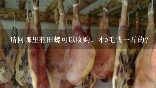 请问哪里有田螺可以收购,才5毛钱1斤的? 请问哪里有田螺可以收购,才5毛钱1斤的?