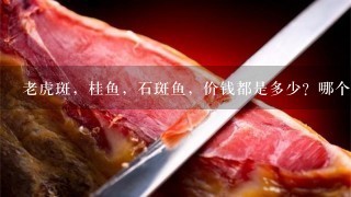 老虎斑,桂鱼,石斑鱼,价钱都是多少?哪个贵1点? 老虎斑,桂鱼,石斑鱼,价钱都是多少?哪个贵1点?