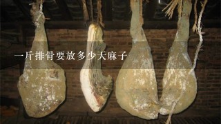 1斤排骨要放多少天麻子 1斤排骨要放多少天麻子