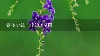 铁多少钱1斤2016阜阳 铁多少钱1斤2016阜阳