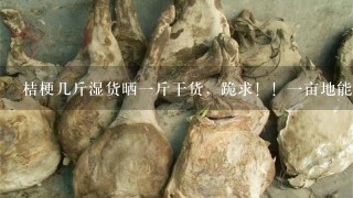 桔梗几斤湿货晒1斤干货,跪求!!1亩地能出多少干货?谢谢了!!! 桔梗几斤湿货晒1斤干货,跪求!!1亩地能出多少干货?谢谢了!!!