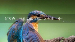 江西庐山云雾茶哪有卖,多少钱1斤? 江西庐山云雾茶哪有卖,多少钱1斤?