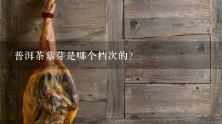 普洱茶紫芽是哪个档次的? 普洱茶紫芽是哪个档次的?
