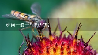 驴肉1般1斤多少钱? 驴肉1般1斤多少钱?