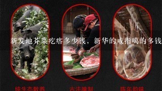 新发地芥菜疙瘩多少钱,新华的戒指噶的多钱1,新华 新发地芥菜疙瘩多少钱,新华的戒指噶的多钱1,新华