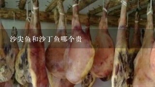 沙尖鱼和沙丁鱼哪个贵 沙尖鱼和沙丁鱼哪个贵