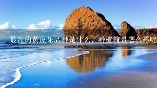最甜的黄皮果品种是什么,种植前景怎么样呢? 最甜的黄皮果品种是什么,种植前景怎么样呢?