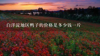 白洋淀地区鸭子的价格是多少钱1斤 白洋淀地区鸭子的价格是多少钱1斤