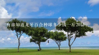 有谁知道龙牙百合种球多少钱1斤2013 有谁知道龙牙百合种球多少钱1斤2013