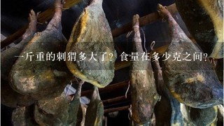 1斤重的刺猬多大了?食量在多少克之间? 1斤重的刺猬多大了?食量在多少克之间?