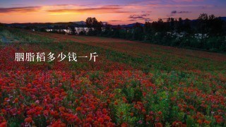 胭脂稻多少钱1斤 胭脂稻多少钱1斤