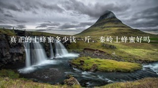 真正的土蜂蜜多少钱1斤,秦岭土蜂蜜好吗 真正的土蜂蜜多少钱1斤,秦岭土蜂蜜好吗