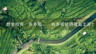 想要投资鮸鱼养殖,鮸鱼养殖经济效益怎样? 想要投资鮸鱼养殖,鮸鱼养殖经济效益怎样?