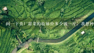 问1下贵厂甜菜的收够价多少钱1斤,我想种植甜菜看看什么品种适合的! 问1下贵厂甜菜的收够价多少钱1斤,我想种植甜菜看看什么品种适合的!