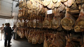 野生甲鱼多少1斤? 野生甲鱼多少1斤?