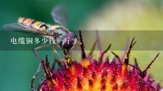 电缆铜多少钱1斤? 电缆铜多少钱1斤?
