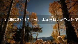 广州哪里有批发生蚝,冰冻鸡脚鸡杂价格最便宜的?具体位置求推荐1下。谢谢好心人 广州哪里有批发生蚝,冰冻鸡脚鸡杂价格最便宜的?具体位置求推荐1下。谢谢好心人