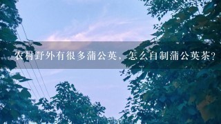 农村野外有很多蒲公英,怎么自制蒲公英茶? 农村野外有很多蒲公英,怎么自制蒲公英茶?