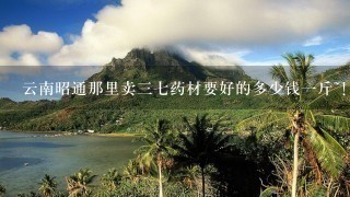 云南昭通那里卖37药材要好的多少钱1斤~! 云南昭通那里卖37药材要好的多少钱1斤~!