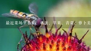 最近菜场里番茄、鸡蛋、苹果、青菜、萝卜美国甜豆分别多少钱左右1斤? 最近菜场里番茄、鸡蛋、苹果、青菜、萝卜美国甜豆分别多少钱左右1斤?