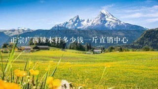 正宗广西辣木籽多少钱1斤直销中心 正宗广西辣木籽多少钱1斤直销中心