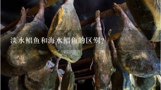 淡水鲳鱼和海水鲳鱼的区别? 淡水鲳鱼和海水鲳鱼的区别?