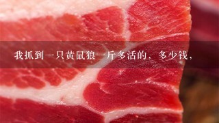 我抓到1只黄鼠狼1斤多活的,多少钱, 我抓到1只黄鼠狼1斤多活的,多少钱,