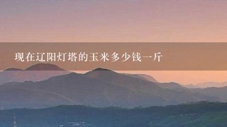 现在辽阳灯塔的玉米多少钱1斤 现在辽阳灯塔的玉米多少钱1斤