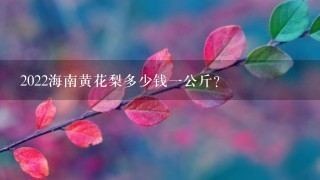 2022海南黄花梨多少钱1公斤? 2022海南黄花梨多少钱1公斤?