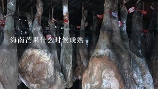 海南芒果什么时候成熟 海南芒果什么时候成熟