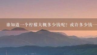 谁知道1个柠檬大概多少钱呢?或许多少钱1斤 谁知道1个柠檬大概多少钱呢?或许多少钱1斤