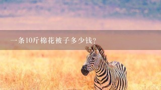 1条10斤棉花被子多少钱? 1条10斤棉花被子多少钱?