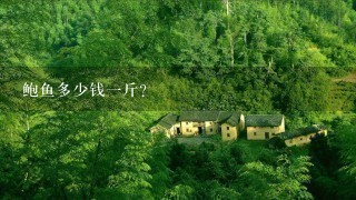 鲍鱼多少钱1斤? 鲍鱼多少钱1斤?