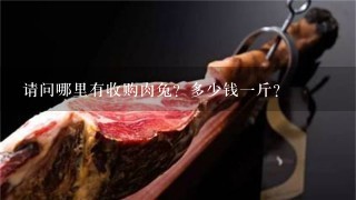 请问哪里有收购肉兔?多少钱1斤? 请问哪里有收购肉兔?多少钱1斤?