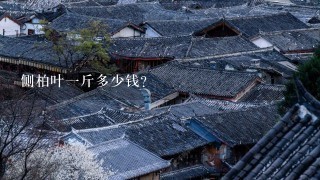 侧柏叶1斤多少钱? 侧柏叶1斤多少钱?